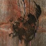 Enter The Slasher House