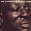 Big Bill Broonzy Sings Folk Songs