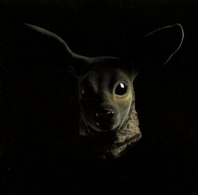 Keep Me On Your Side