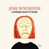 Reasonable Amount Of Trouble