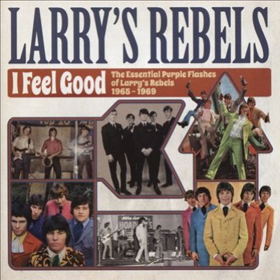 I Feel Good: The Essential Purple Flashes Of Larry's Rebels 1965-1969