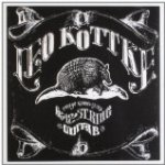 6 And 12 String Guitar