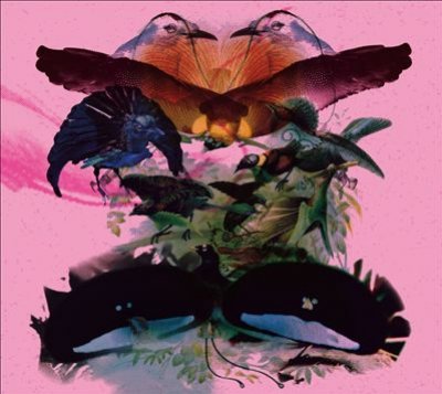 Rojus (designed To Dance)