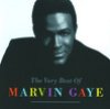 Marvin Gaye: That Stubborn Kinda Fellow