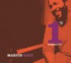 Number 1's: Marvin Gaye