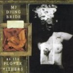 As The Flower Withers