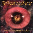 Inside The Torn Apart