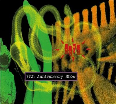 13th Anniversary Show: Live In The U.s.a.