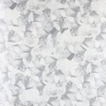 Compost Black Label 116