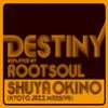 Destiny Replayed By Root Soul