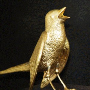 De Gouden Nachtegaaltjes