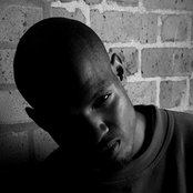 Dot Rotten - List pictures