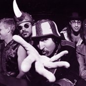 Colonel Les Claypool's Fearless Flying Frog Brigade - List pictures