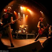 Bigwig - List pictures