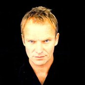 Sting - List pictures