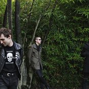 Cult Of Youth - List pictures