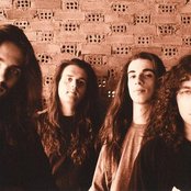 Acid Death - List pictures