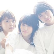 Negicco - List pictures