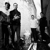 Ninety Pound Wuss - List pictures