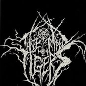 Three Trapped Tigers - List pictures