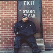 Big Pun - List pictures
