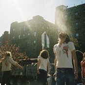 Free Energy - List pictures
