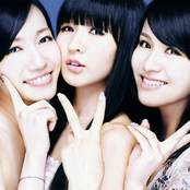 Perfume - List pictures