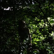 Matias Aguayo - List pictures