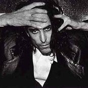 Prick - List pictures