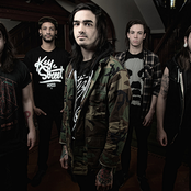 Like Moths To Flames - List pictures