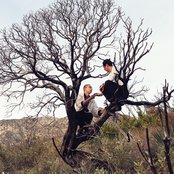 Inc. - List pictures