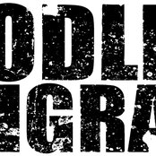 Bloodlined Calligraphy - List pictures