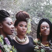 King - List pictures