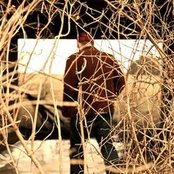 Casiotone For The Painfully Alone - List pictures