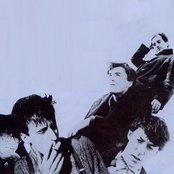 The Bluebells - List pictures