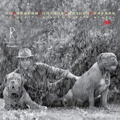 Salman Khan - List pictures