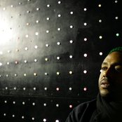 P.u.d.g.e. - List pictures