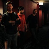 Scattered Trees - List pictures