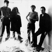 Die Firma - List pictures