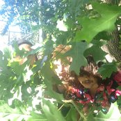 The Memories - List pictures