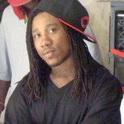 Frenchie - List pictures