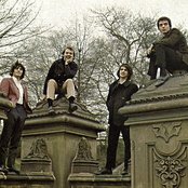 Young Rascals - List pictures