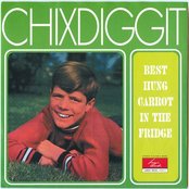 Chixdiggit - List pictures