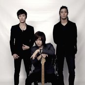 Royal Pirates - List pictures