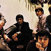 The Animals - List pictures