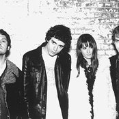 Verbena - List pictures