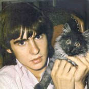 Davy Jones - List pictures