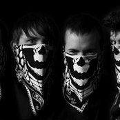 Cobra Skulls - List pictures