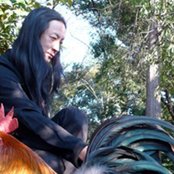 Merzbow - List pictures