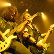 Raven - List pictures